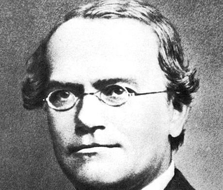 Johann Gregor Mendel