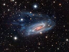 NGC 3981 galaxie vzdálená asi 65 milion svtelných let v souhvzdí Pohár.