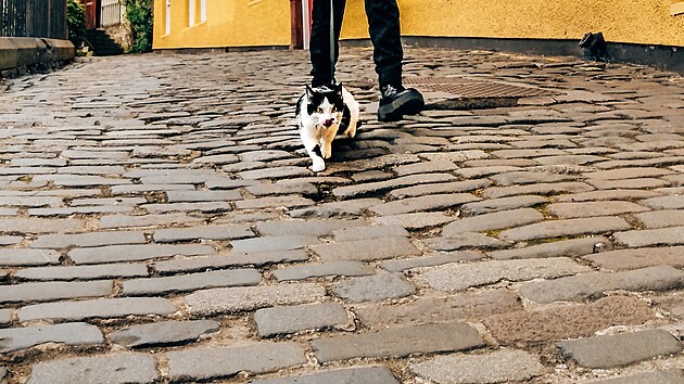 Aaricia se svou kokou Munro na prochzce po ulicch Edinburghu. 