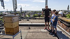 Včelařství se v zájmovém kroužku mohou věnovat děti na olomoucké základní škole... Včelařství se v zájmovém kroužku mohou věnovat děti na olomoucké základní škole...
