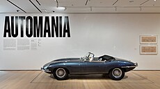 Jaguar E-Type Roadster z roku 1963 je součástí sbírek od sezony 1996. Jaguar E-Type Roadster z roku 1963 je součástí sbírek od sezony 1996.