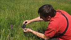 Botanik Vít Joza při fotografování prstnatce májového u Hory Svaté Kateřiny na... Botanik Vít Joza při fotografování prstnatce májového u Hory Svaté Kateřiny na...
