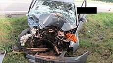 Náraz do stromu nepřežil řidič volkswagenu. Náraz do stromu nepřežil řidič volkswagenu.