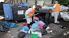 Pracovníci odborné firmy se probrali pěti sty kilogramy odpadu ze sídlištní a... Pracovníci odborné firmy se probrali pěti sty kilogramy odpadu ze sídlištní a...