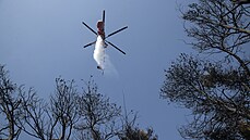 Hasiský vrtulník v oblasti zasaené poárem, který vypukl severn od Atén....