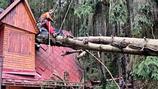 Po řádění živlů v Plzeňském kraji zanechaly popadané stromy spoušť na mnoha... Po řádění živlů v Plzeňském kraji zanechaly popadané stromy spoušť na mnoha...