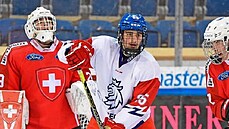 František Formánek v reprezentačním dresu v utkání proti Švýcarsku. František Formánek v reprezentačním dresu v utkání proti Švýcarsku.