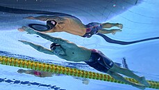 Caeleb Dressel (vpravo) z USA si plave pro zlatou medaili na stometrové trati... Caeleb Dressel (vpravo) z USA si plave pro zlatou medaili na stometrové trati...