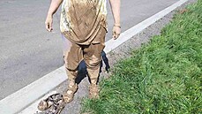 Ženu uvázlou v rozbahněném terénu u Městečka Trnávky vysvobodili až hasiči. Ženu uvázlou v rozbahněném terénu u Městečka Trnávky vysvobodili až hasiči.