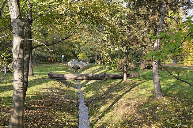 <p>Nejen Letňany, ale i sousední Čakovice se mají čím pochlubit. K čakovickým pozlátkům patří nádherný sedmihektarový zámecký park s rybníčkem. A právě park se pyšní hnedle dvěma fešáky, kteří jsou zařazeni mezi památné stromy Prahy. Jde o obrovitého jas