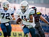 Americký fotbal na Bazalech. Steelers budou hrát o šanci na postup