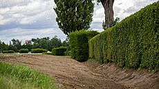 Současná šířka příkopu 5 metrů zůstala zachována, úhel klesání je ale oproti... Současná šířka příkopu 5 metrů zůstala zachována, úhel klesání je ale oproti...