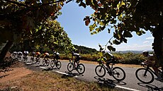 Cyklisté během 15. etapy na Vueltě Cyklisté během 15. etapy na Vueltě