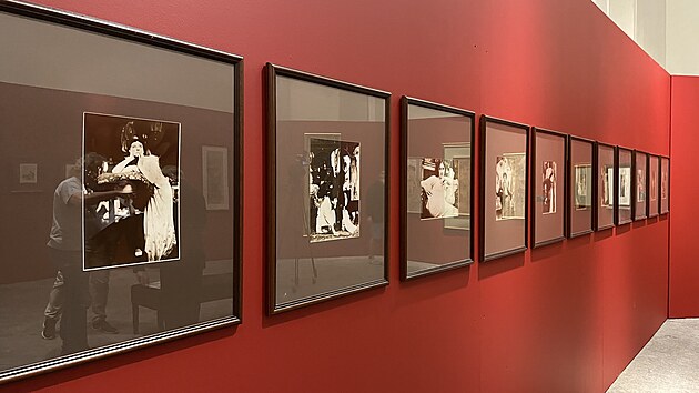 Na nové výstavě ve Vlastivědném muzeu v Olomouci je k vidění velký průřez Muchovým dílem, ať už jde o jeho známá plátna, sérii grafik vytvořenou jako učebnice směru art nouveau, či třeba plakát k divadelní hře Médea, který českého umělce proslavil v zahraničí.