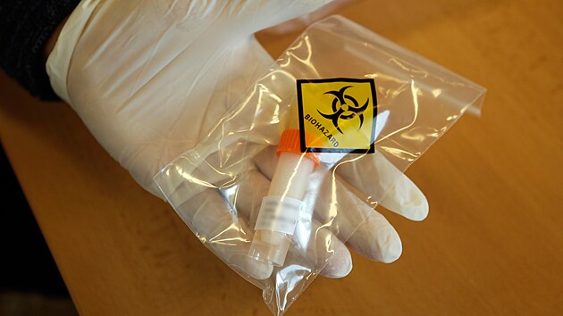 Nový školní rok začal hromadným testováním na onemocnění covid-19 i v jihlavské základní škole Otokara Březiny.