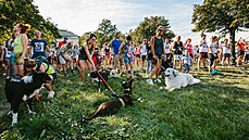 Při akci se každoročně sejdou stovky nadšenců podporujících opuštěná zvířata. Při akci se každoročně sejdou stovky nadšenců podporujících opuštěná zvířata.