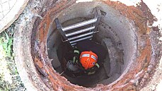 Hasiči pomáhali vytáhnout kozla z tři metry hlubokého kanálu, kam spadl. Hasiči pomáhali vytáhnout kozla z tři metry hlubokého kanálu, kam spadl.