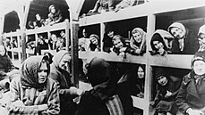 Vězeňkyně v Osvětimi v lednu 1945 Vězeňkyně v Osvětimi v lednu 1945
