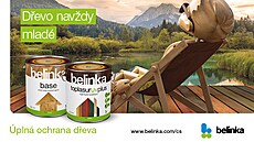 Abeceda ochrany dřeva Abeceda ochrany dřeva