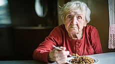 V roce 2050 bude každý třetí Čech důchodce. V roce 2050 bude každý třetí Čech důchodce.