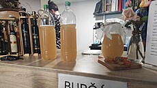 Burčáková sezóna letos začala asi o tři týdny později. Kvůli počasí. Burčáková sezóna letos začala asi o tři týdny později. Kvůli počasí.