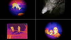 Zoo Praha připravila noční procházku, na které mohou návštěvníci používat noční... Zoo Praha připravila noční procházku, na které mohou návštěvníci používat noční...