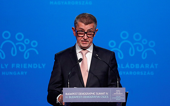 eský premiér Andrej Babi na demografickém summitu v maarské Budapeti. (23....