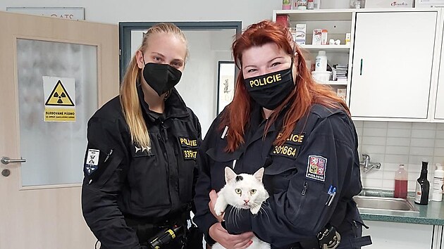 Policistky Andrea Farská a Martina Mlejnková se zachráněným kocourkem | na serveru Lidovky.cz | aktuální zprávy Policistky Andrea Farská a Martina Mlejnková se zachráněným kocourkem | na serveru Lidovky.cz | aktuální zprávy
