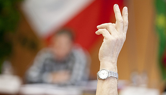 O novém sloení vedení obce budou v Troskotovicích na Brnnsku hlasovat v deset hodin dopoledne. (Ilustraní snímek)