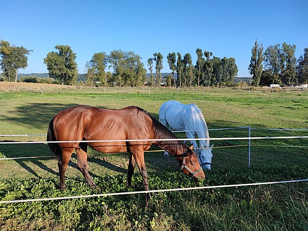 Fotografie pořízená smartphonem Xiaomi 11T Pro