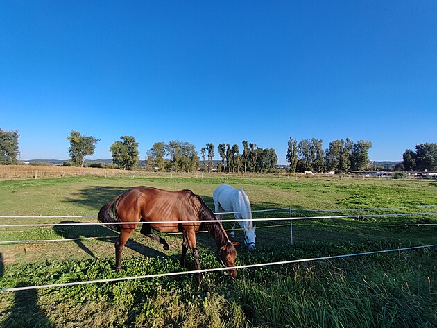 Fotografie pořízená smartphonem Xiaomi 11T Pro