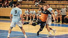 Momentka z extraligového utkání Plzně proti Hranicím Momentka z extraligového utkání Plzně proti Hranicím