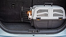Ideální je, pokud psa nauíte cestovat v úloném prostoru automobilu v jeho...