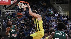 Jan Veselý z Fenerbahce smečuje do koše Panathinaikosu. Jan Veselý z Fenerbahce smečuje do koše Panathinaikosu.