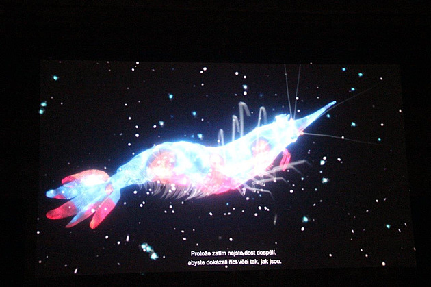 <p>Festival Signal 2021 rozzářil Prahu.</p>
