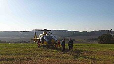 V lese na Brnnsku spadla dívka z kon, do nemocnice ji transportoval vrtulník....