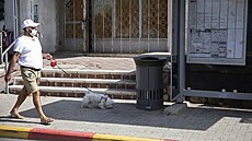 Muž se psem prochází kolem mluvícího odpadkového koše v Jeruzalémě (14. října... Muž se psem prochází kolem mluvícího odpadkového koše v Jeruzalémě (14. října...