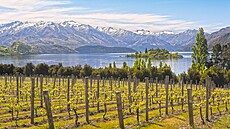 Krajina s vinicemi, kopci a horami na Novém Zélandu Krajina s vinicemi, kopci a horami na Novém Zélandu