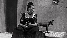 Frida Kahlo, Lola Álvarez Bravo, kolem roku 1944 Frida Kahlo, Lola Álvarez Bravo, kolem roku 1944