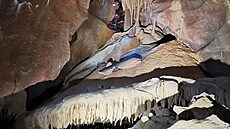 Jeskyňáři našli v Moravském krasu poblíž Macochy čtyři nové dómy, jsou plné... Jeskyňáři našli v Moravském krasu poblíž Macochy čtyři nové dómy, jsou plné...