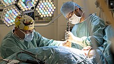 Lékai praského IKEM transplantují jednomu z pacient ledvinu, která...