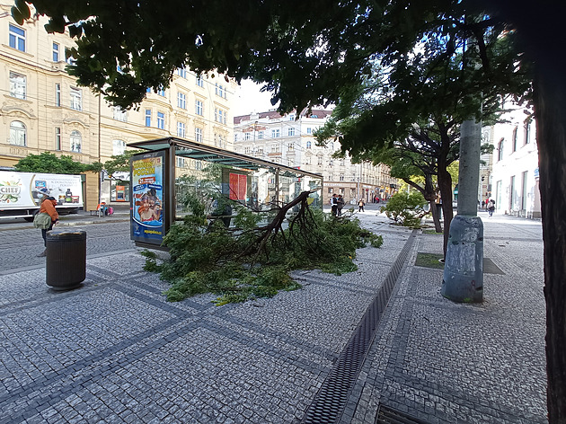 <p>Silný poryv větru zlomil na Strossmayerově náměstí strom. Kolemjdoucí se na něj smutně dívali.</p>