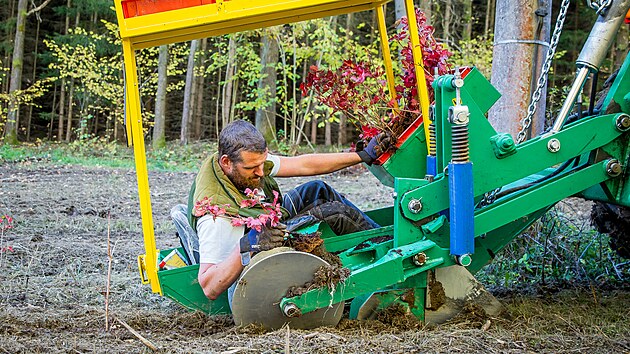 Speciálním strojem vysazují rostliny do ochranného pásma pod vysokým napětím.... Speciálním strojem vysazují rostliny do ochranného pásma pod vysokým napětím....
