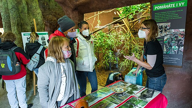 Návštěvníci se mj. dozvěděli, proč jsou gorily ohrožený druh, a jak jim Zoo...