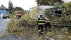 Popadané stromy museli eit také hasii z Karlovarského kraje. (21. íjna 2021)