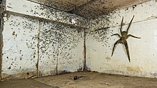 Vstoupilo do ní přes 50 tisíc fotografií autorů z více než stovky zemí. Porota... Vstoupilo do ní přes 50 tisíc fotografií autorů z více než stovky zemí. Porota...