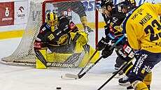Utkání 16. kola hokejové extraligy: HC Verva Litvínov - PSG Berani Zlín. Zleva... Utkání 16. kola hokejové extraligy: HC Verva Litvínov - PSG Berani Zlín. Zleva...