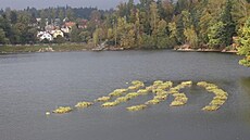 Zelené ostrovy leží na hladině druhé přehrady blízko hráze mezi první a druhou... Zelené ostrovy leží na hladině druhé přehrady blízko hráze mezi první a druhou...