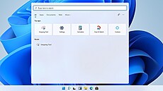 Windows 11 Windows 11