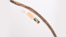 Domorodí Australané pouívají nevratné bumerangy po tisíce let.